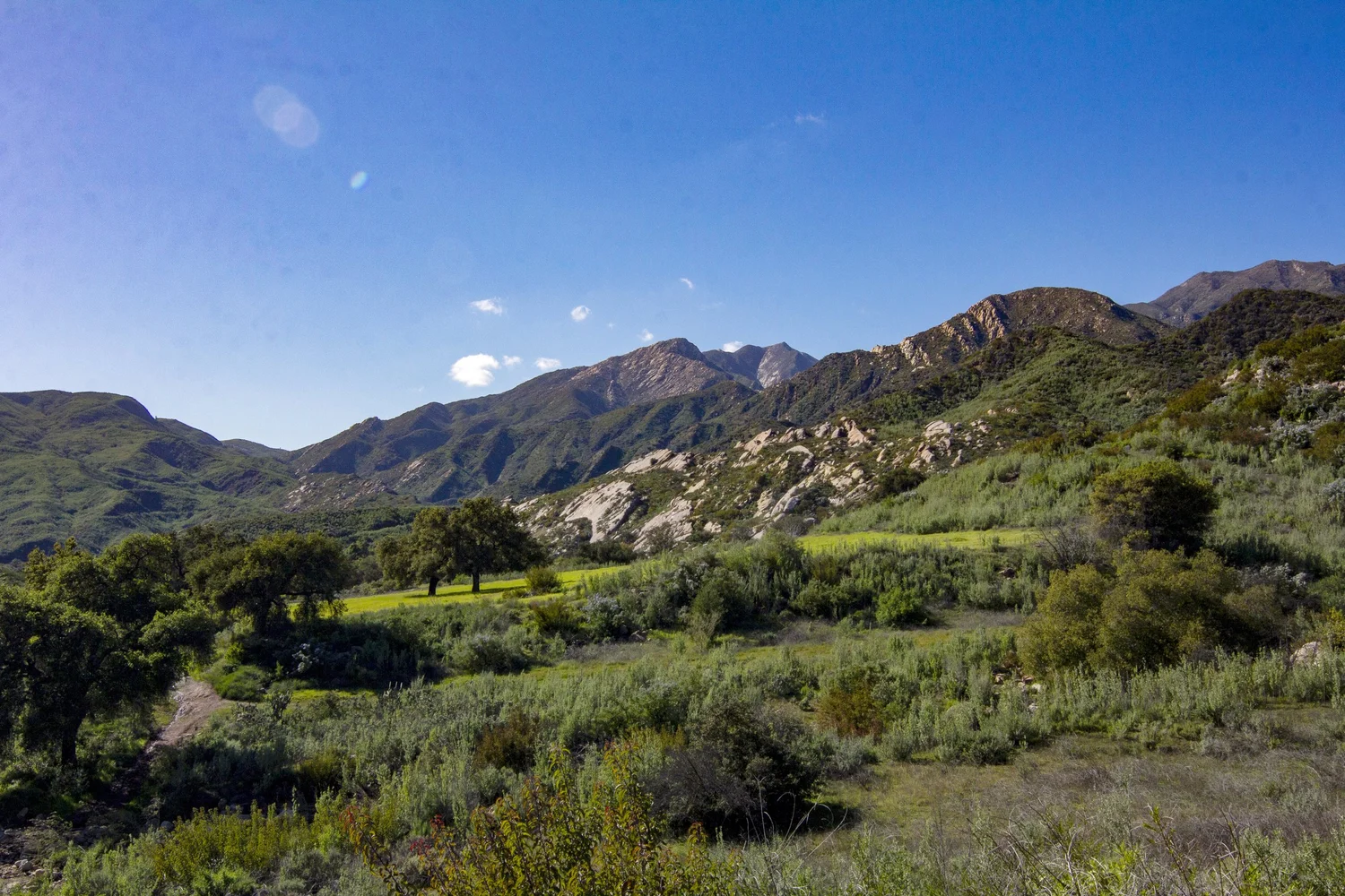Grounds — Taft Gardens & Nature Preserve